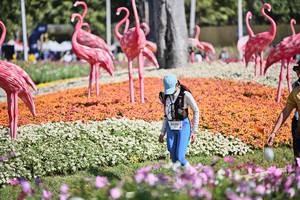 BIB: 
                            <button type="button" onclick="openModal(27793270)" class="btn btn-primary btn-sm float-right btn-popup" data-toggle="modal" data-target=".modal-high-quality">
                        <i class="fas fa-shopping-cart"></i> Add to Cart
                    </button>
                                            <button type="button" onclick="isThisMe(27793270, true)" class="btn btn-success btn-sm float-right btn-popup btn-isme hidden" data-toggle="tooltip" data-placement="bottom" title="นี่คือรูปของคุณใช่ไหม คลิกที่นี่เพื่อเอาเข้าอัลบั้ม">
                        <i class="fas fa-plus"></i> Add to album
                    </button>
                    <button type="button" onclick="isThisMe(27793270, false)" class="btn btn-warning btn-sm float-right btn-popup btn-isnotme hidden">
                        <i class="fas fa-ban"></i> Remove from album
                    </button>